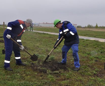 В ОЭЗ «Липецк» провели большой субботник